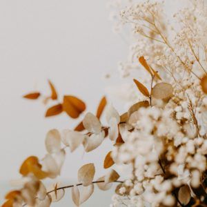 Trockenblumen